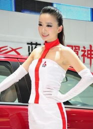 2011上海chinajoy