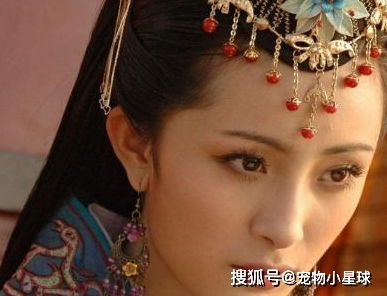 关于中国古代四大美女,四大妓女,四大才女的