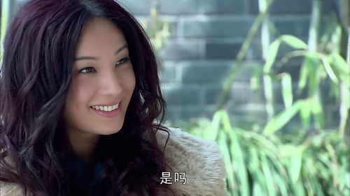 一部由香港所有女武打明星拍的犯罪动作片,美女如云,看的过瘾
